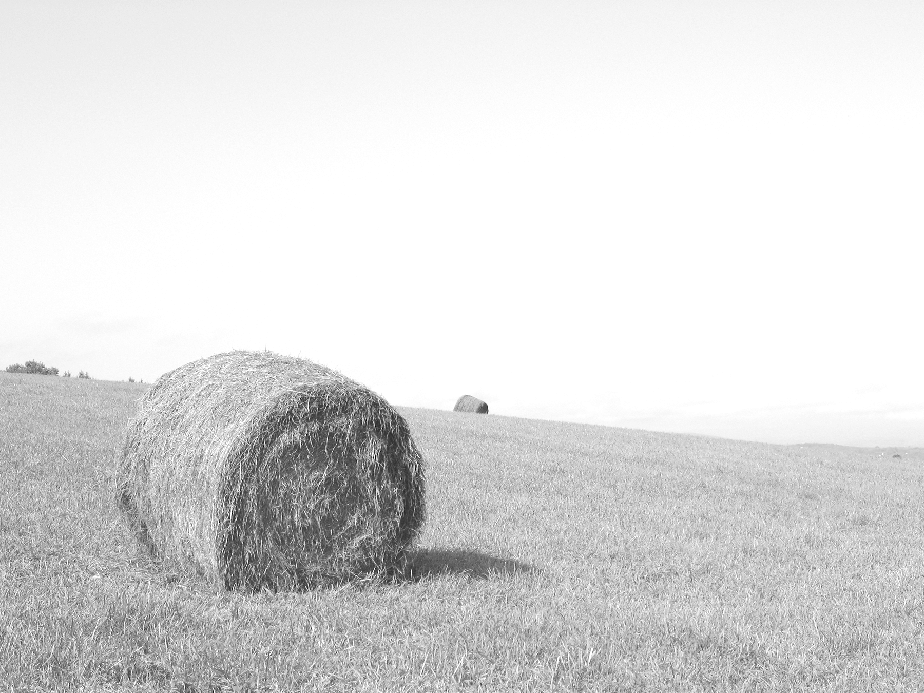 Hay Bale